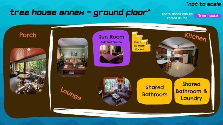And International Albergue *